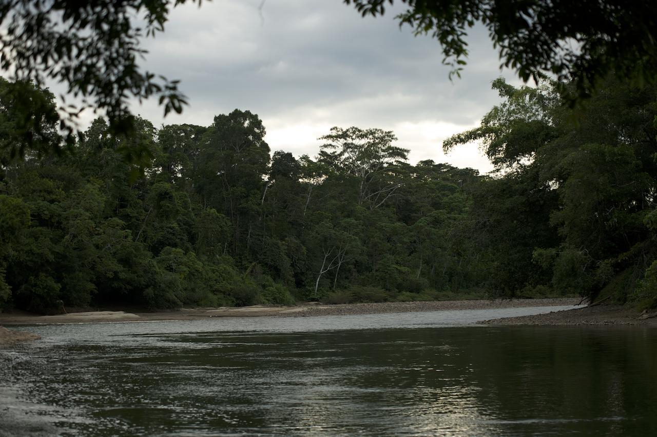 Itamandi Eco Lodge Río Arajuno Kültér fotó