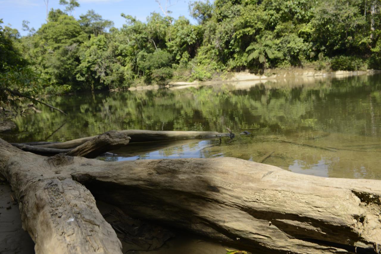 Itamandi Eco Lodge Río Arajuno Kültér fotó